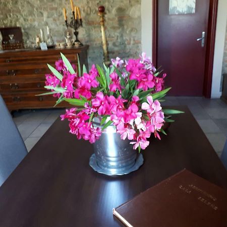 Casa Selene Rocchi Villa Savignano sul Panaro Eksteriør bilde