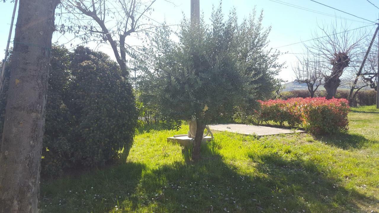 Casa Selene Rocchi Villa Savignano sul Panaro Eksteriør bilde